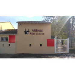 Arènes Régis Chauvet - Noves