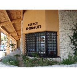 Espace Thibaud - Noves