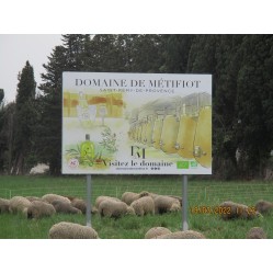 Metifiot - Saint-Rémy de...