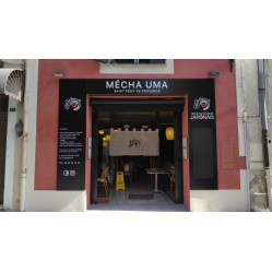 Mecha Uma - Saint-Rémy de...